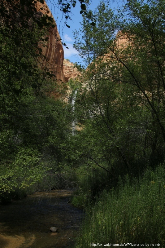 Hike-Lower-Calf-Creek-Canyon-018