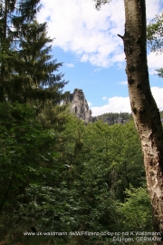 2020-07-12-Elbsandstein-013