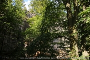 2020-07-12-Elbsandstein-020