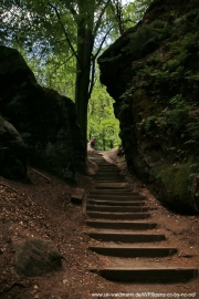 2020-07-13-Elbsandstein-101