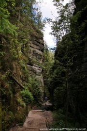 2020-07-13-Elbsandstein-108