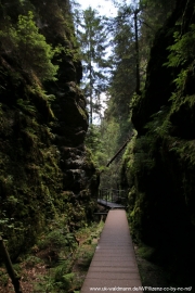 2020-07-13-Elbsandstein-112