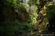 2020-07-14-Elbsandstein-003
