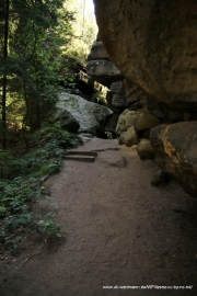2020-07-14-Elbsandstein-006
