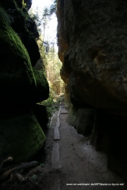 2020-07-14-Elbsandstein-008