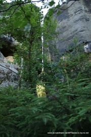 2020-07-14-Elbsandstein-012