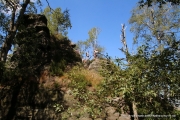 2020-07-14-Elbsandstein-028
