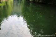 2020-07-15-Elbsandstein-010