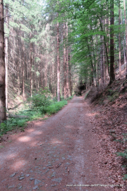 2020-07-15-Elbsandstein-029