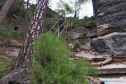 2020-07-15-Elbsandstein-050