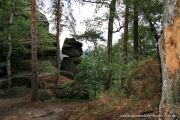 2020-07-16-Elabsandstein-044