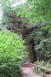 2020-07-17-Elbsandstein-025