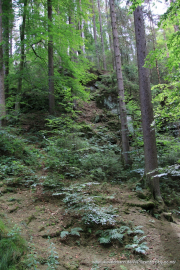 2020-07-17-Elbsandstein-027
