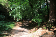 2020-07-18-Elbsandstein-075