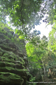 2020-07-18-Elbsandstein-076