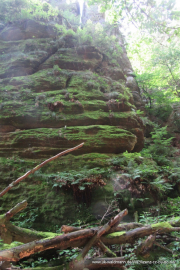 2020-07-18-Elbsandstein-077