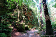 2020-07-18-Elbsandstein-079
