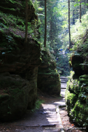 2020-07-18-Elbsandstein-086