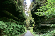 2020-07-18-Elbsandstein-096