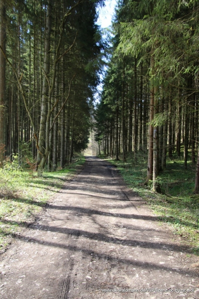 2021-04-22_Lillachtal_001