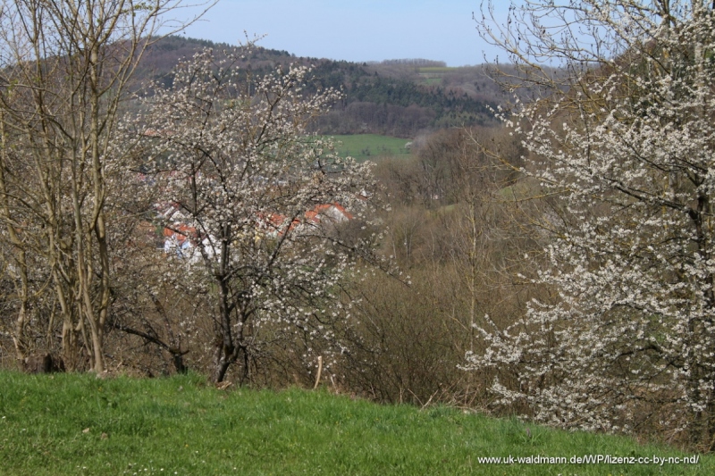 2021-04-22_Lillachtal_010