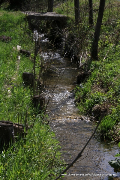 2021-04-22_Lillachtal_019