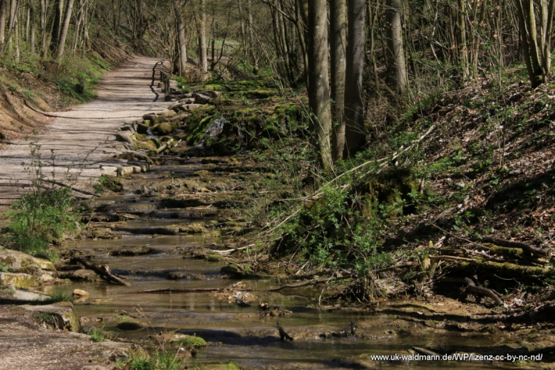 2021-04-22_Lillachtal_029