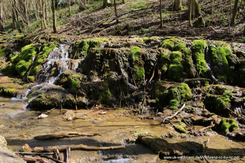 2021-04-22_Lillachtal_032