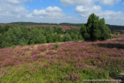 Oberhaverbeck, Blick vom Turmberg