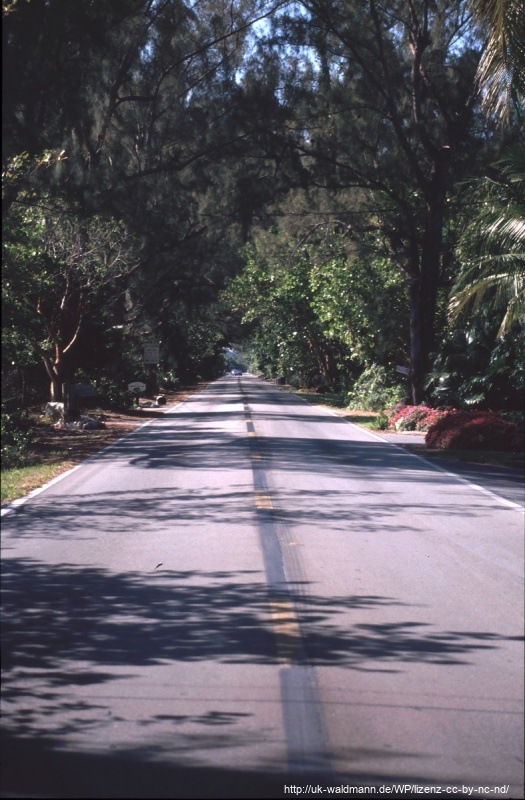 2000-Florida-083