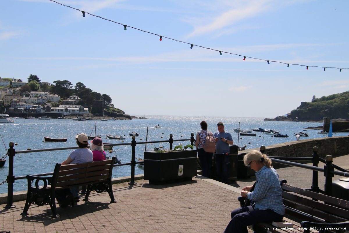 optimized_2025-05-02_Fowey_567