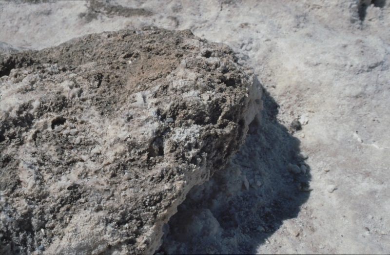 1996-USA-865