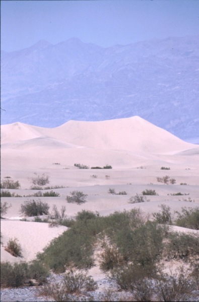 1996-USA-869