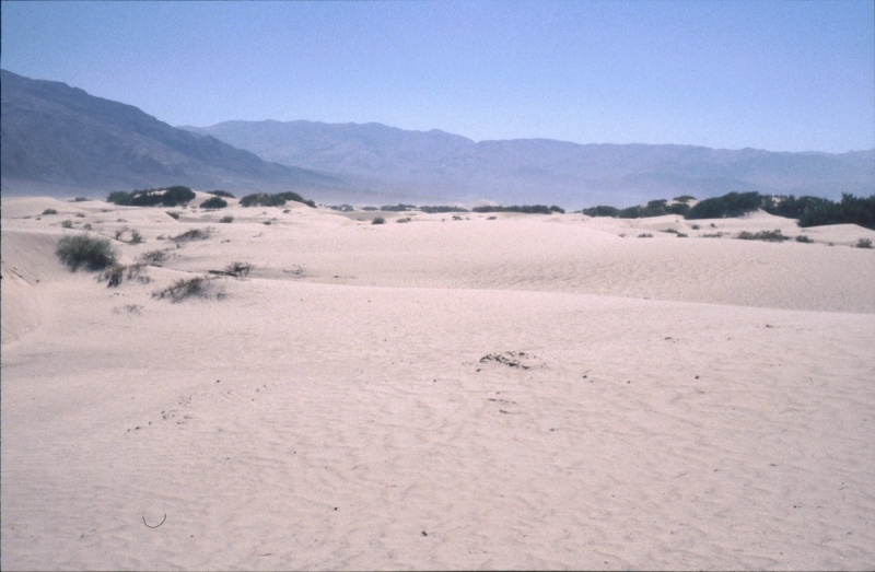 1999-USA-161