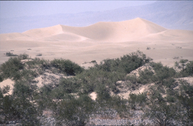1999-USA-163