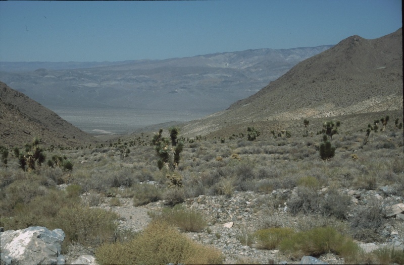 2001-USA-055