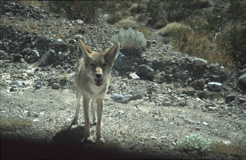 2001-USA-056
