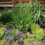 Gartenbepflanzung neben einer Steintreppe.
