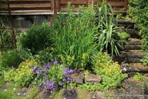 Gartenbepflanzung neben einer Steintreppe.