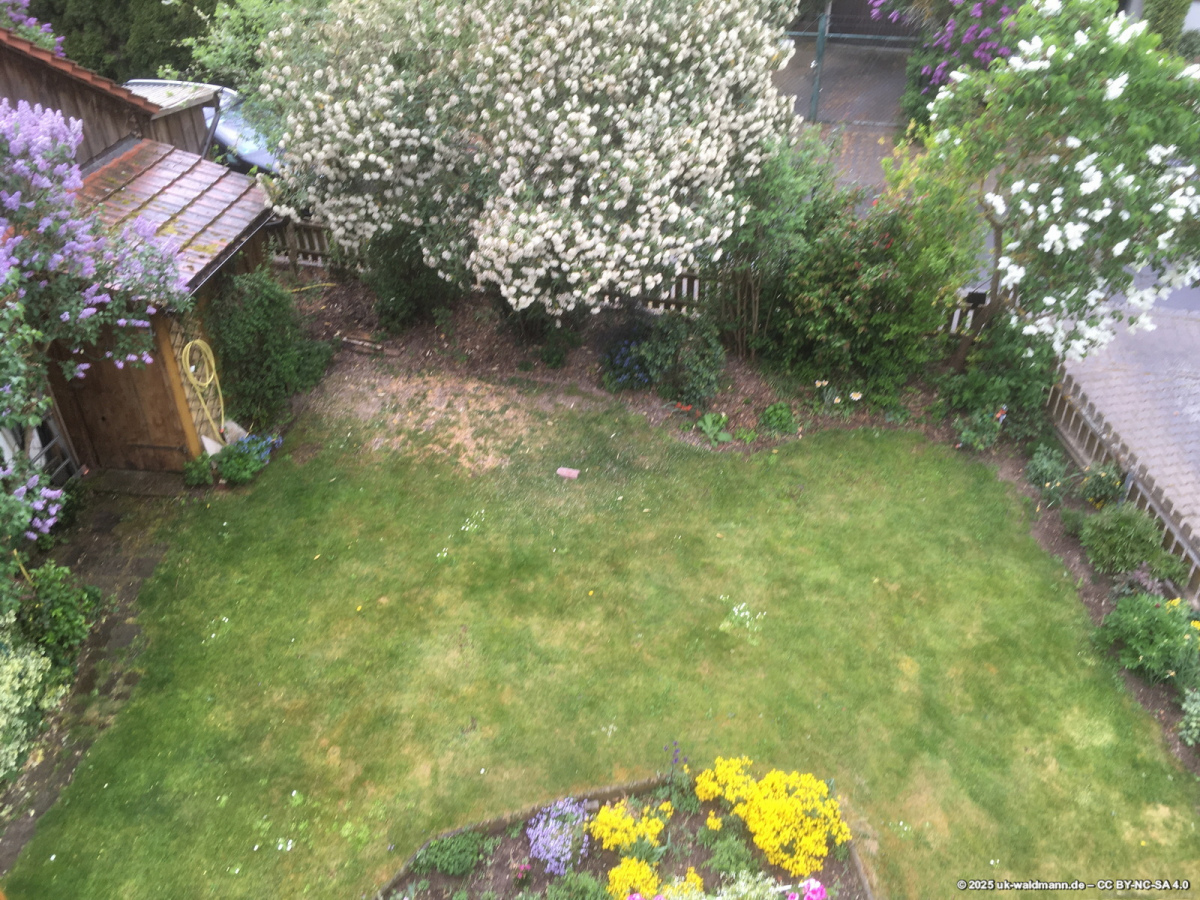 Das war mal der Garten